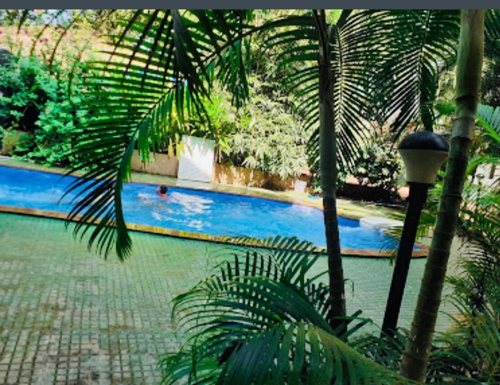 Hotel Goveia Grand 2*